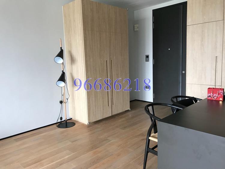 OUE Twin Peaks (D9), Condominium #165391642
